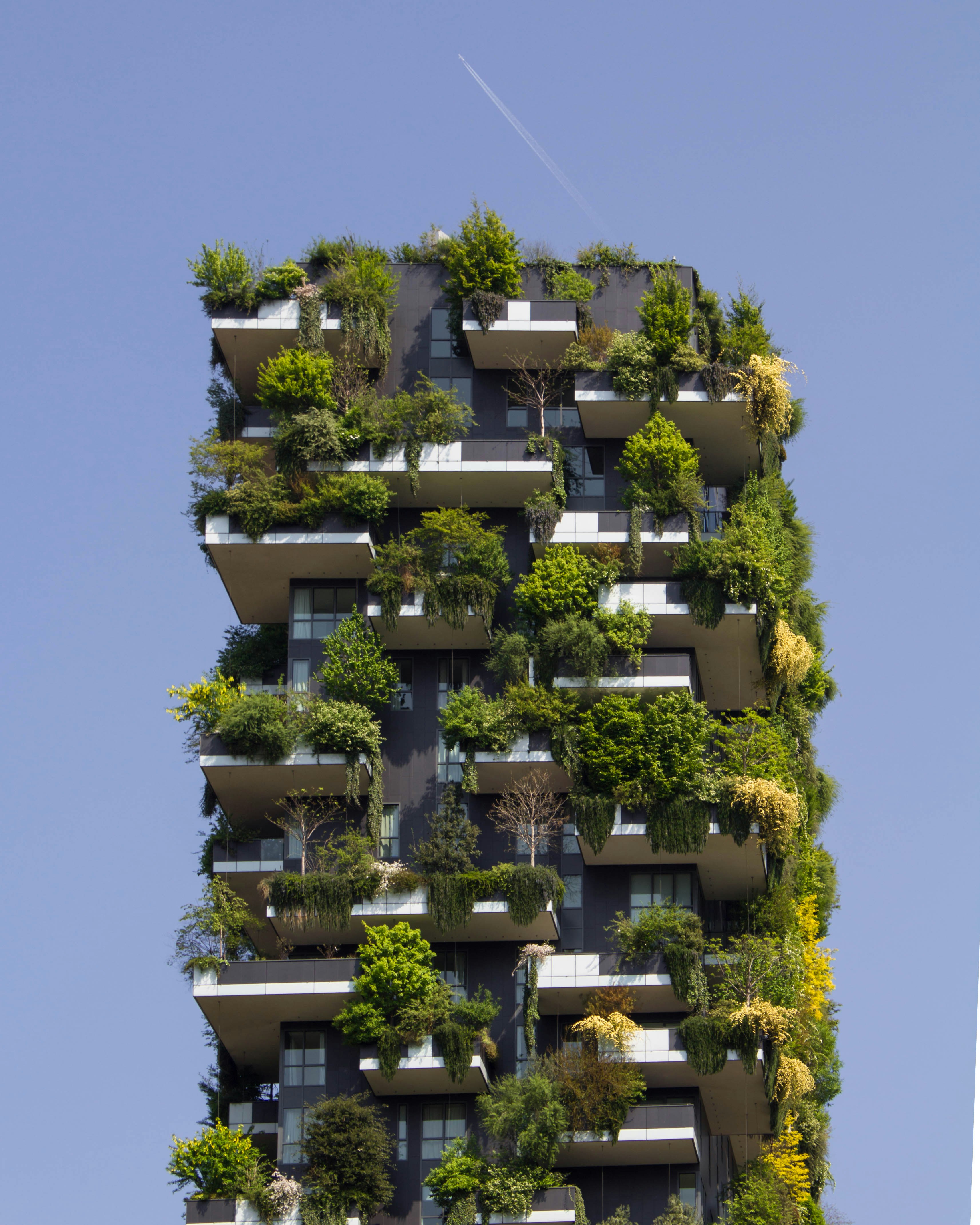 Sustainable architecture